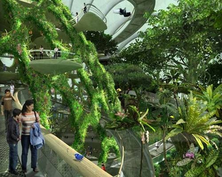 Illustration for article titled Singpore Plans its Own Version of Pandora on Earth